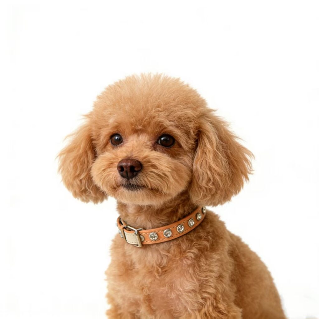 微信图片 20260305191132 405 286