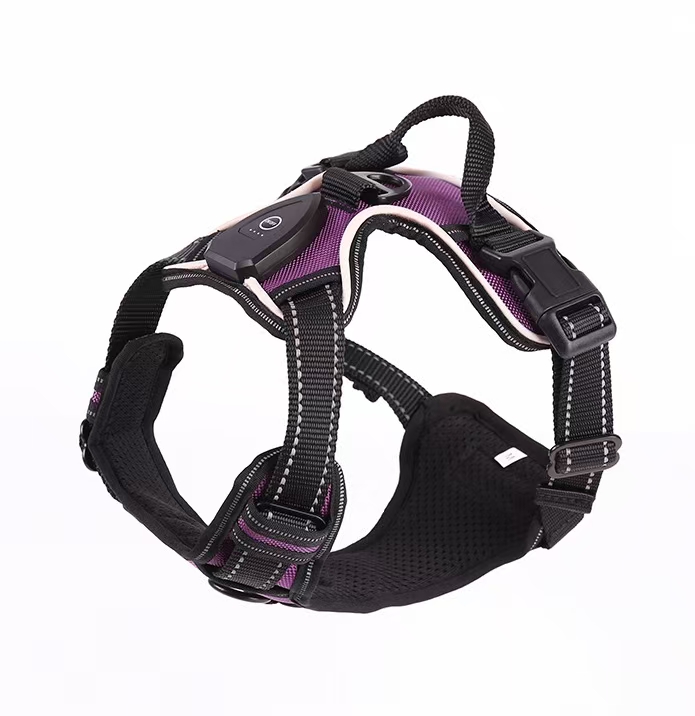 微信图片 20260310122411 588 286