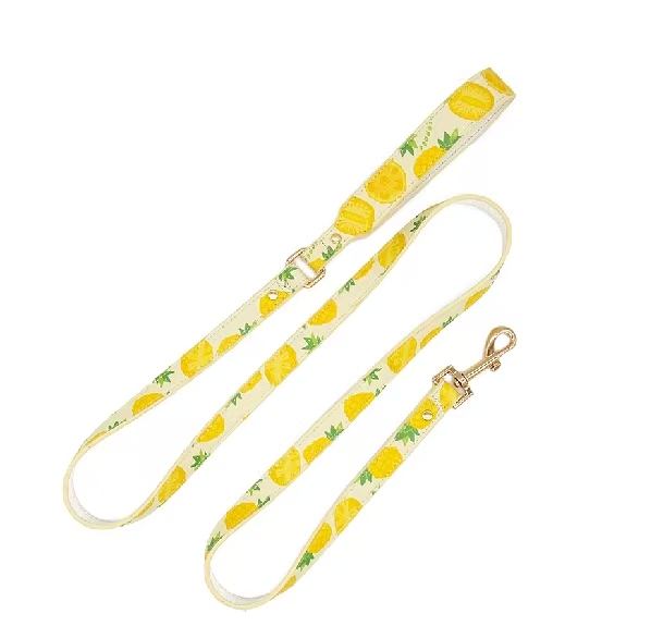 微信图片 20260310123828 600 286