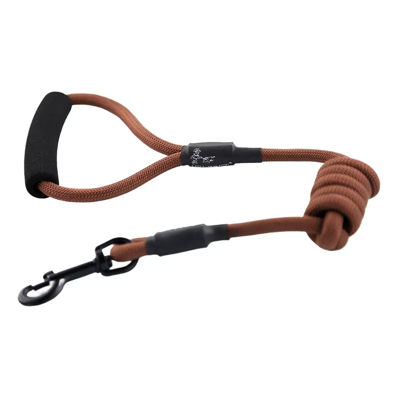 微信图片 20260312204643 621 286